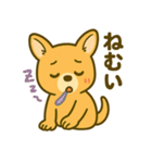 カンガルーと白アザラシの毎日スタンプ（個別スタンプ：21）