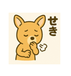 カンガルーと白アザラシの毎日スタンプ（個別スタンプ：22）