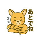 カンガルーと白アザラシの毎日スタンプ（個別スタンプ：24）
