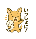 カンガルーと白アザラシの毎日スタンプ（個別スタンプ：30）