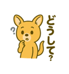 カンガルーと白アザラシの毎日スタンプ（個別スタンプ：34）