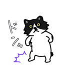 ハチワレ猫サクヤちゃん（個別スタンプ：4）