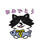 ハチワレ猫サクヤちゃん（個別スタンプ：5）