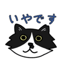 ハチワレ猫サクヤちゃん（個別スタンプ：15）