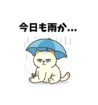だるねこ【梅雨スタンプ】（個別スタンプ：1）