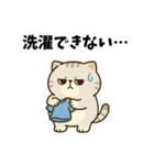 だるねこ【梅雨スタンプ】（個別スタンプ：3）