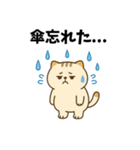 だるねこ【梅雨スタンプ】（個別スタンプ：4）