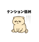 だるねこ【梅雨スタンプ】（個別スタンプ：5）