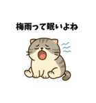 だるねこ【梅雨スタンプ】（個別スタンプ：8）