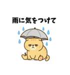 だるねこ【梅雨スタンプ】（個別スタンプ：11）