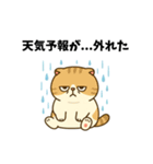 だるねこ【梅雨スタンプ】（個別スタンプ：13）