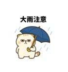 だるねこ【梅雨スタンプ】（個別スタンプ：16）
