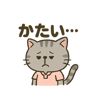 にゃんこゴルファーズスタンプ（個別スタンプ：19）