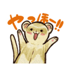 フェレットと一緒の日々（個別スタンプ：3）