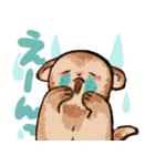 フェレットと一緒の日々（個別スタンプ：23）