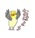オカメ ポン次郎（個別スタンプ：1）