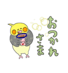 オカメ ポン次郎（個別スタンプ：3）
