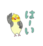 オカメ ポン次郎（個別スタンプ：11）