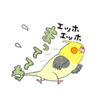 オカメ ポン次郎（個別スタンプ：12）