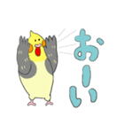 オカメ ポン次郎（個別スタンプ：13）