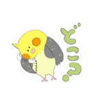 オカメ ポン次郎（個別スタンプ：14）