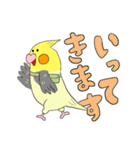 オカメ ポン次郎（個別スタンプ：17）