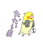 オカメ ポン次郎（個別スタンプ：18）