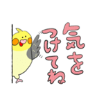 オカメ ポン次郎（個別スタンプ：20）