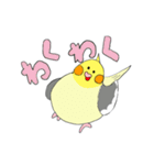 オカメ ポン次郎（個別スタンプ：28）