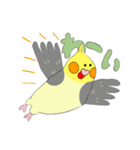 オカメ ポン次郎（個別スタンプ：36）