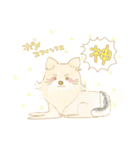 クロニカ ポメヤ（個別スタンプ：1）