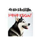 社会人1年目のシベリアンハスキー（個別スタンプ：1）