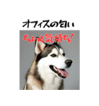 社会人1年目のシベリアンハスキー（個別スタンプ：4）