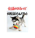 社会人1年目のシベリアンハスキー（個別スタンプ：6）