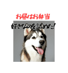 社会人1年目のシベリアンハスキー（個別スタンプ：10）
