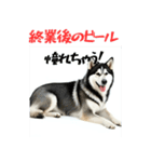社会人1年目のシベリアンハスキー（個別スタンプ：18）