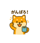 柴犬の元気な一言スタンプ（個別スタンプ：1）