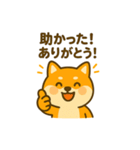柴犬の元気な一言スタンプ（個別スタンプ：2）
