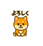 柴犬の元気な一言スタンプ（個別スタンプ：5）