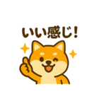 柴犬の元気な一言スタンプ（個別スタンプ：6）