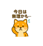 柴犬の元気な一言スタンプ（個別スタンプ：9）
