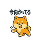 柴犬の元気な一言スタンプ（個別スタンプ：10）