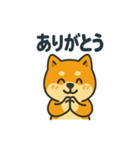 柴犬の元気な一言スタンプ（個別スタンプ：12）
