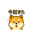 柴犬の元気な一言スタンプ（個別スタンプ：13）