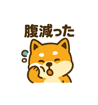 柴犬の元気な一言スタンプ（個別スタンプ：14）