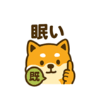 柴犬の元気な一言スタンプ（個別スタンプ：15）