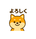 柴犬の元気な一言スタンプ（個別スタンプ：16）