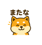 柴犬の元気な一言スタンプ（個別スタンプ：17）