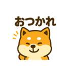 柴犬の元気な一言スタンプ（個別スタンプ：18）
