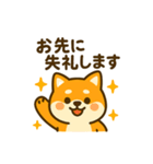 柴犬の元気な一言スタンプ（個別スタンプ：19）